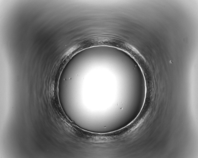 X0000085310777200703161451