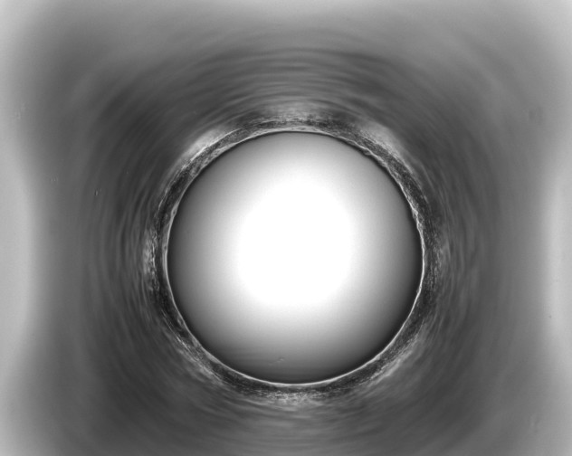 X0000085310778200703161451