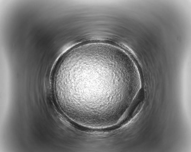 X0000085310779200703161451
