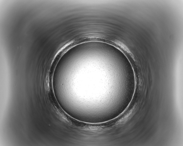 X0000085310782200703161451