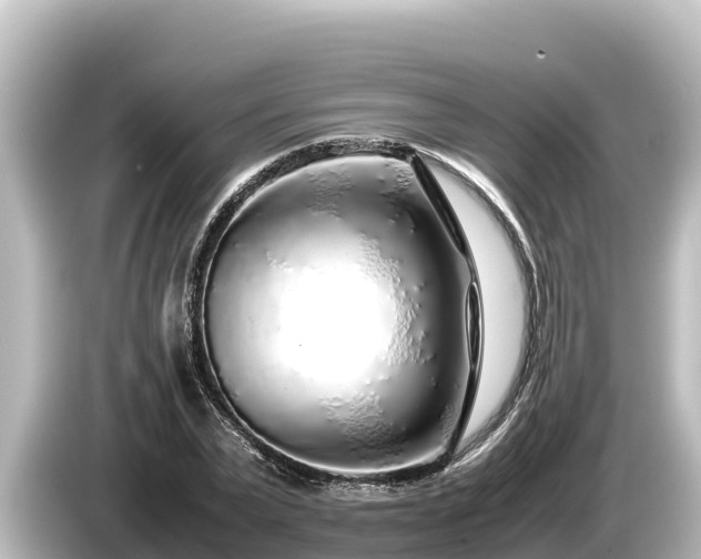 X0000085310783200703161451