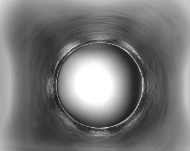 X0000085310786200703161451