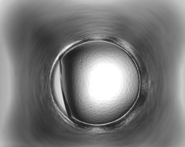 X0000085310787200703161451