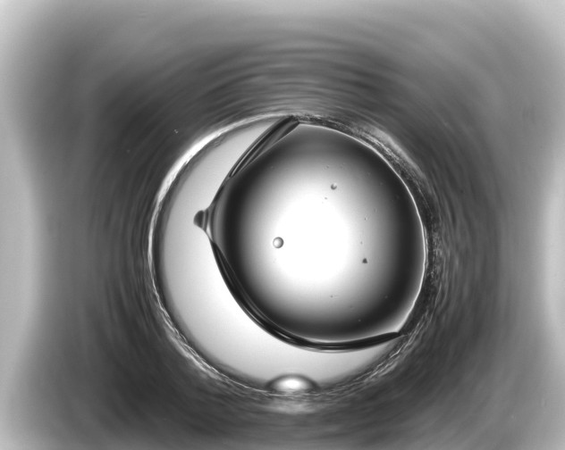 X0000085310788200703161451