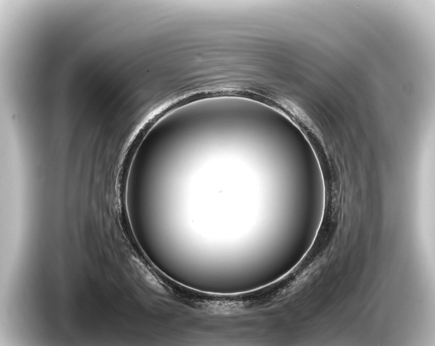 X0000085310789200703161451
