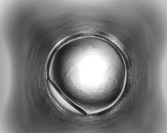 X0000085310791200703161451