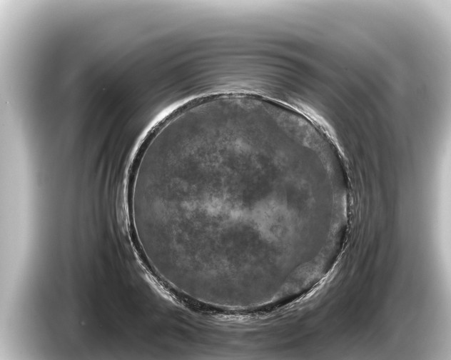 X0000085310792200703161451