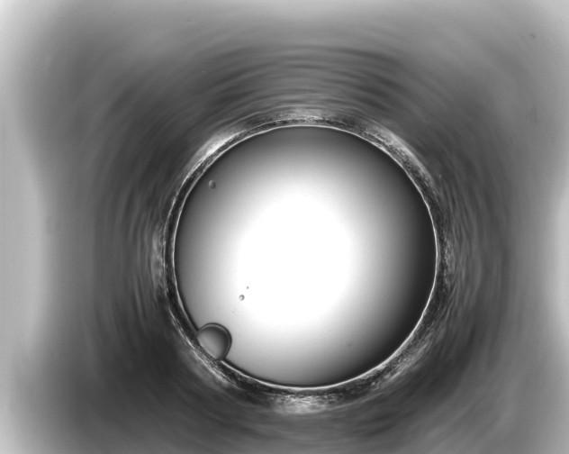 X0000085310794200703161451
