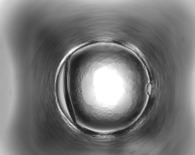 X0000085310795200703161451