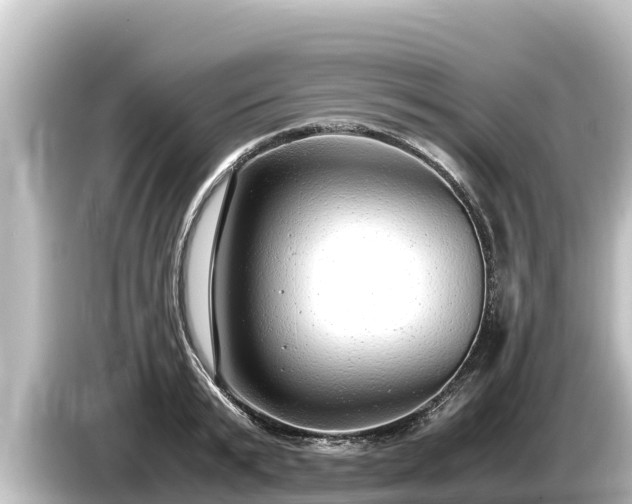 X0000085310799200703161451