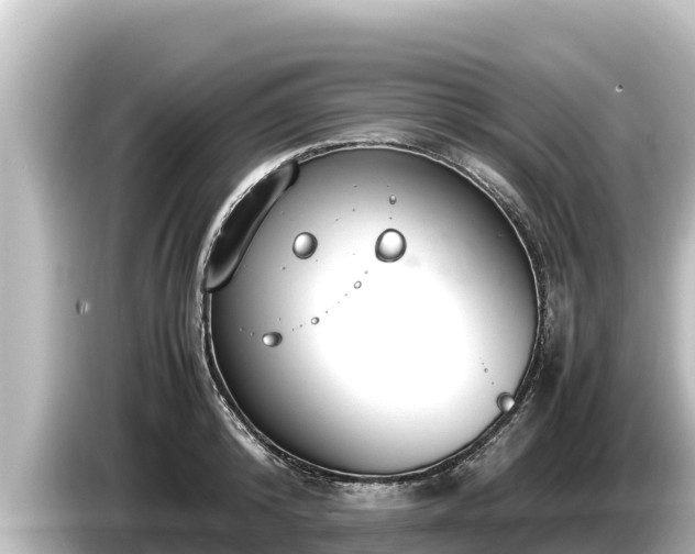 X0000085310800200703161451