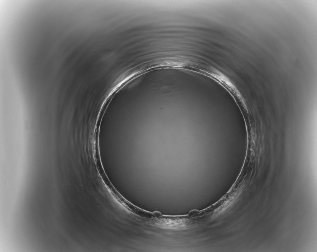 X0000085310802200703161451
