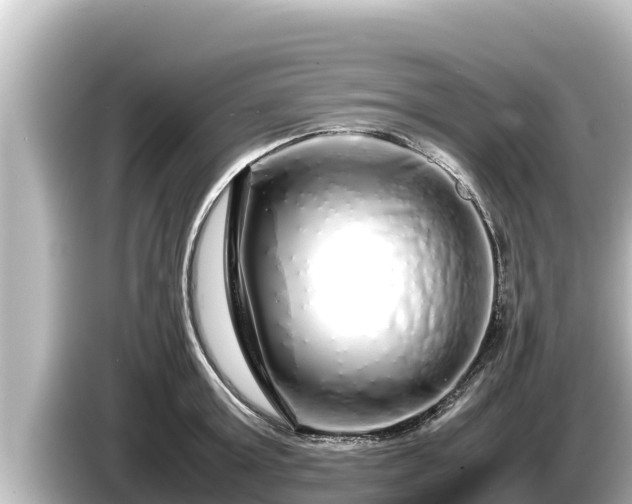 X0000085310803200703161451