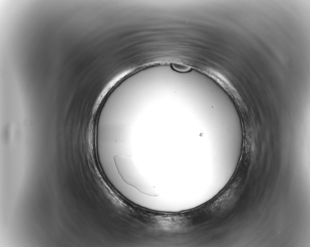 X0000085310804200703161451