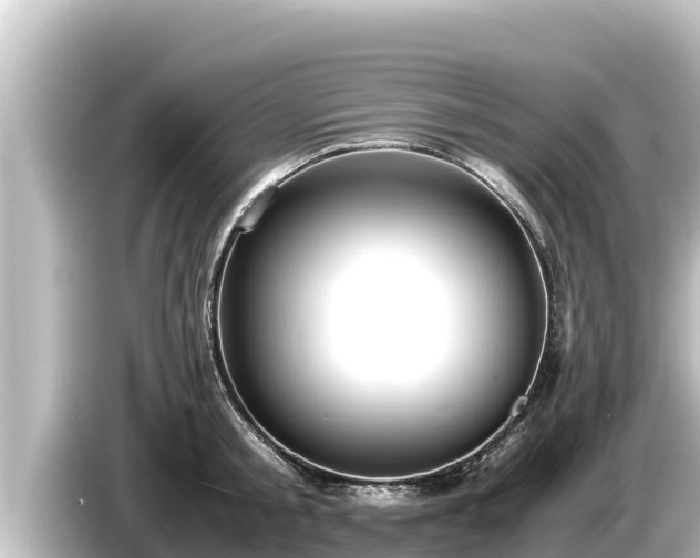 X0000085310805200703161451
