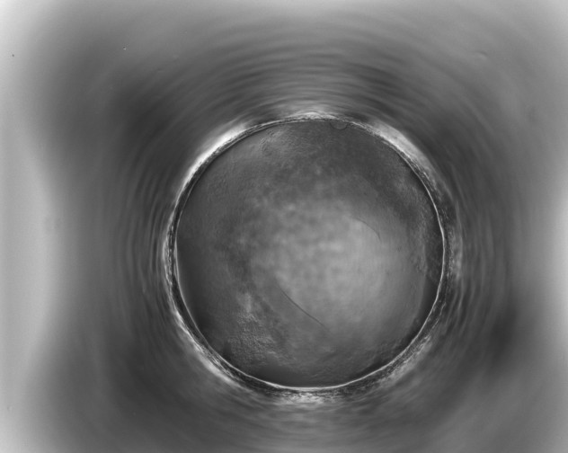 X0000085310806200703161451