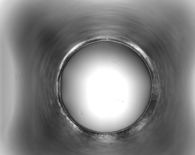 X0000085310807200703161451