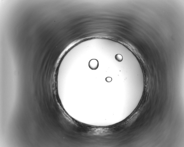 X0000085310808200703161451