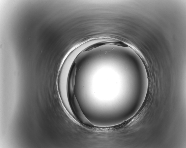 X0000085310813200703161451