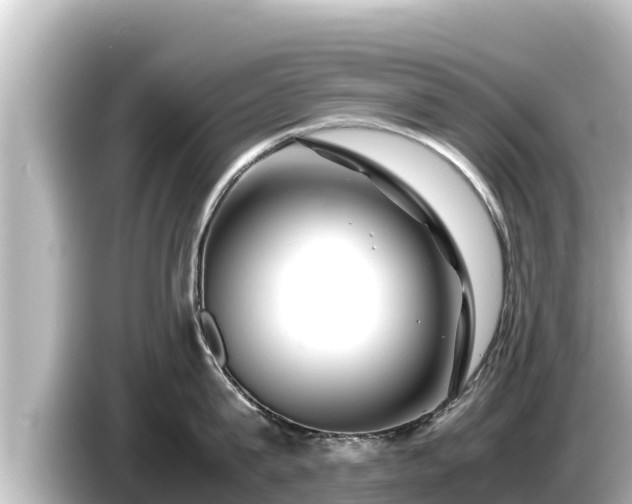 X0000085310815200703161451