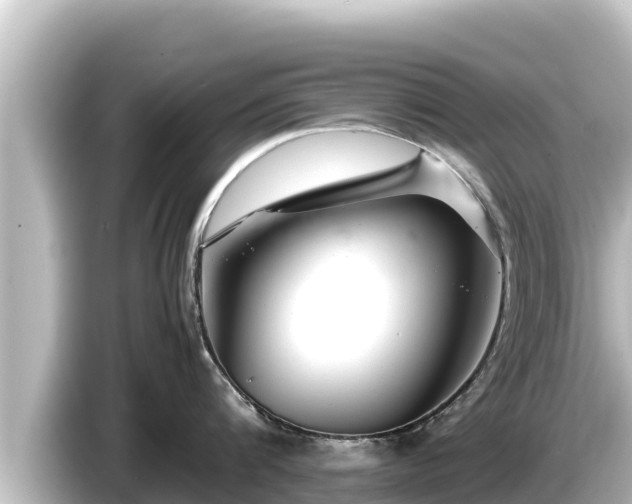 X0000085310816200703161451