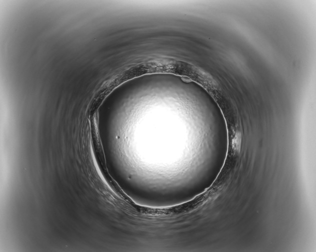 X0000085310819200703161450