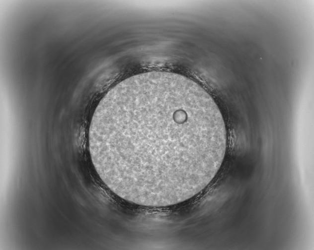 X0000085310820200703161450