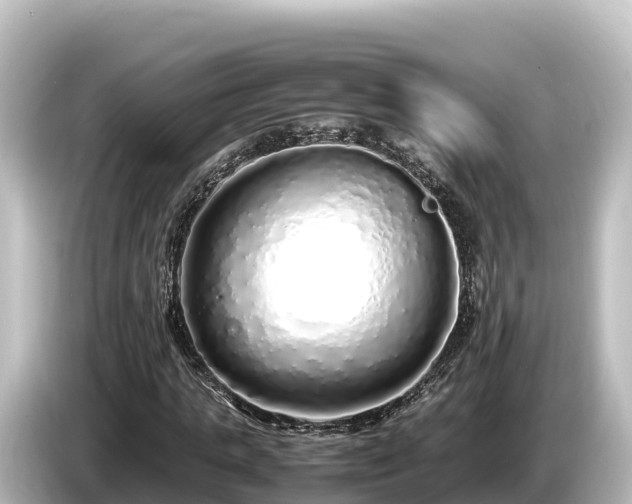 X0000085310821200703161450