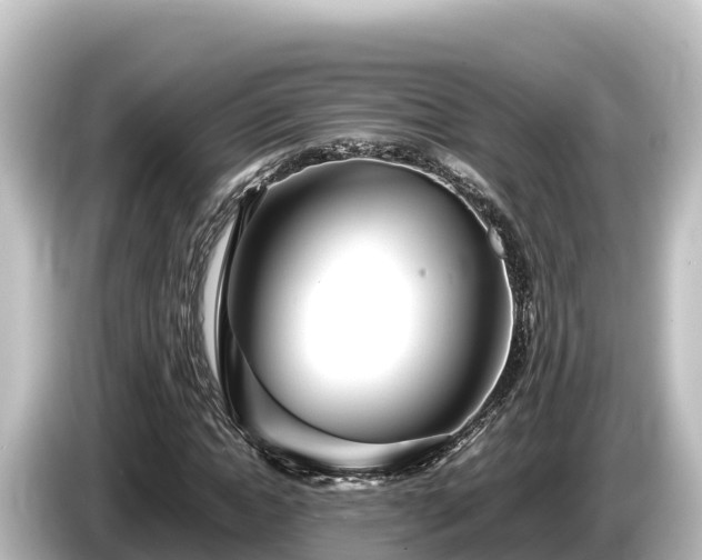 X0000085310822200703161450
