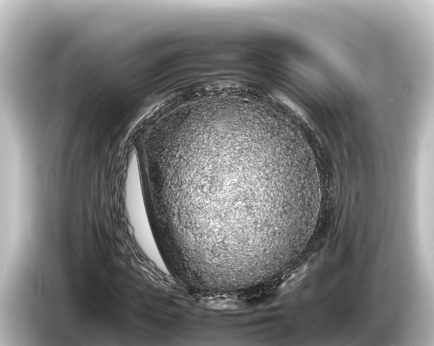 X0000085310823200703161450