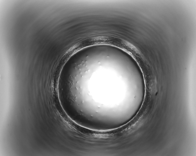 X0000085310825200703161450