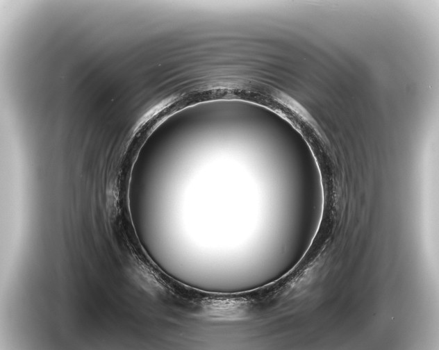 X0000085310826200703161450