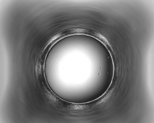 X0000085310827200703161450