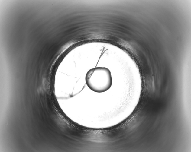 X0000085310828200703161450