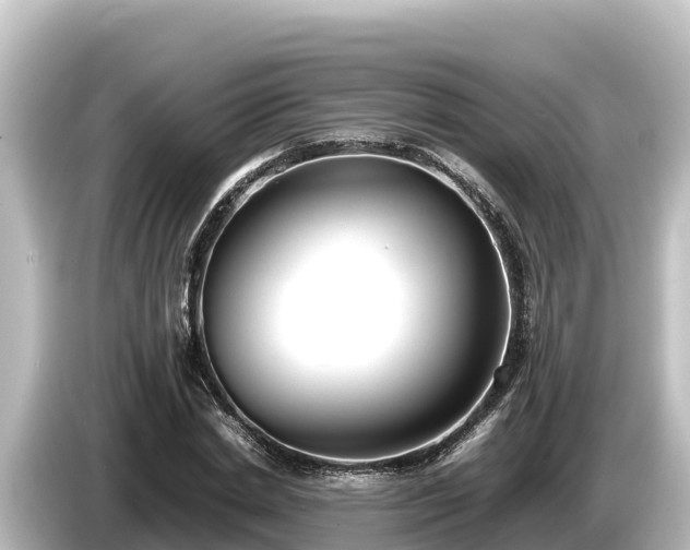 X0000085310830200703161450