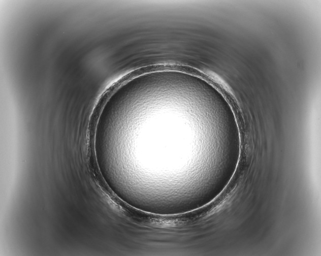 X0000085310831200703161450