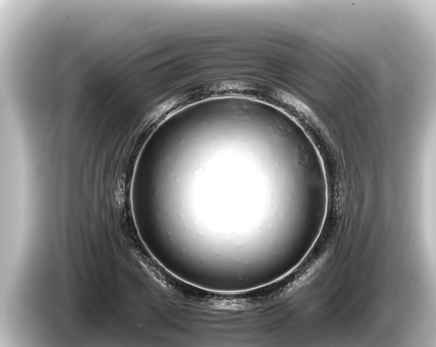 X0000085310833200703161450