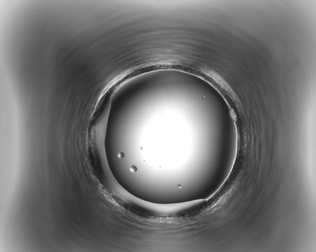 X0000085310834200703161450