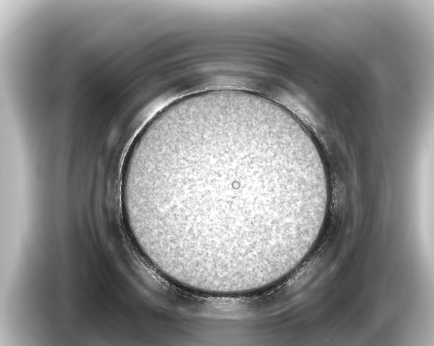 X0000085310836200703161450