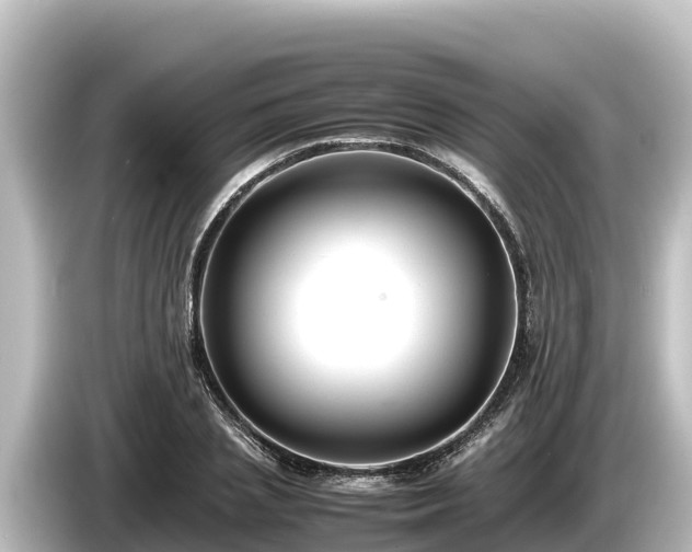 X0000085310837200703161450