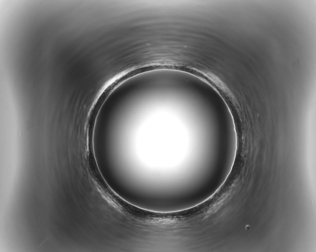 X0000085310838200703161450