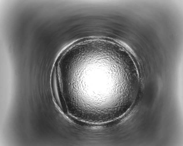 X0000085310839200703161450