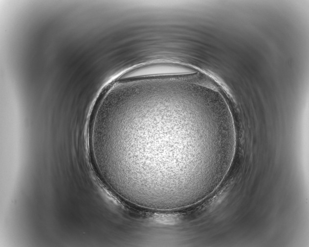 X0000085310840200703161450