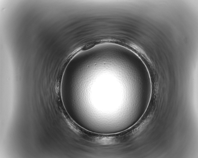X0000085310841200703161450