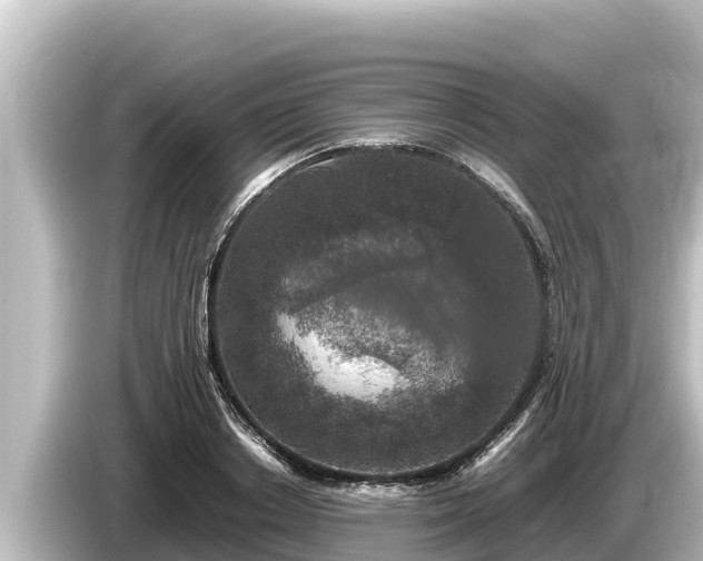 X0000085310842200703161450