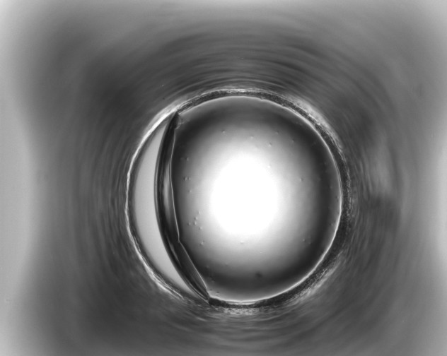 X0000085310845200703161450