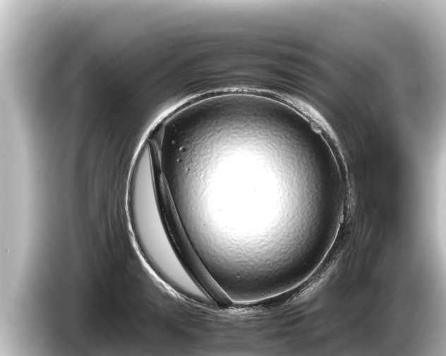 X0000085310847200703161450