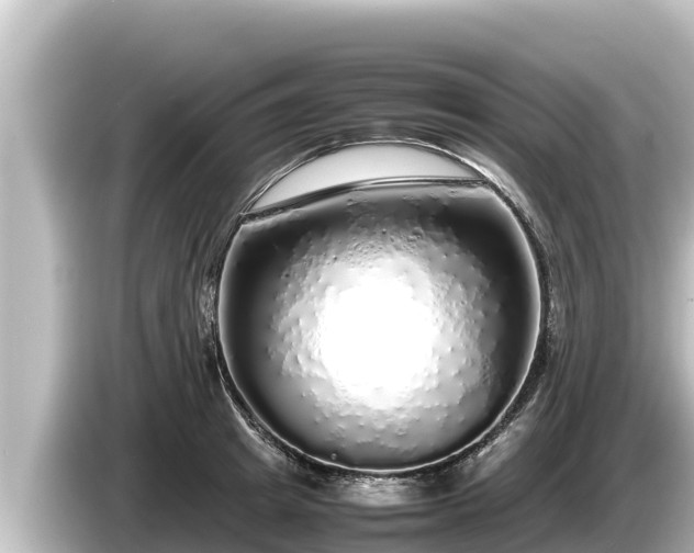 X0000085310849200703161450