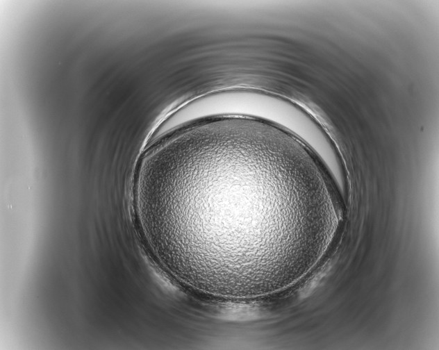 X0000085310850200703161450