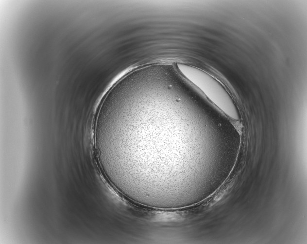 X0000085310852200703161450